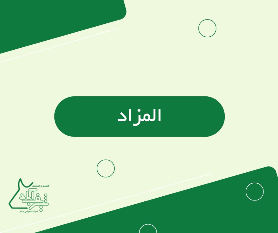 بیع عدد من حیوانات القضاء (الذبائح) من العجول والأبقار ذکور وإناث