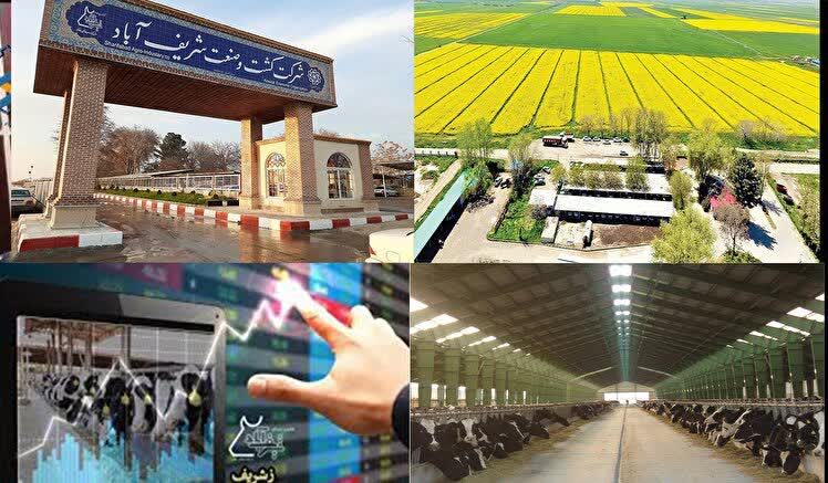 مجموعه ای از دستاوردها، فعالیت ها و توفیقات شرکت کشت و صنعت شریف آباد از زبان مهندس ماندگار مدیرعامل شرکت