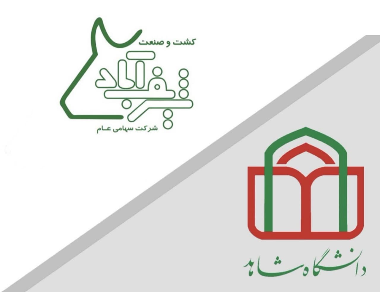 راهکارهای توسعه و تقویت همکاری‌ دانشگاه شاهد و شرکت کشت و صنعت شریف آباد