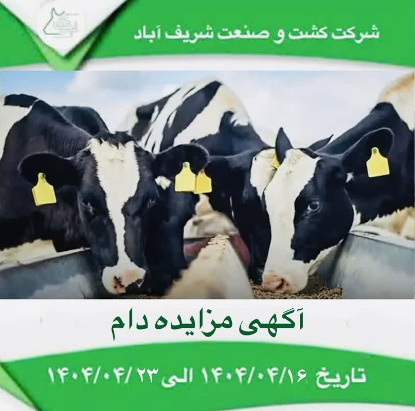آگهی مزایده دام