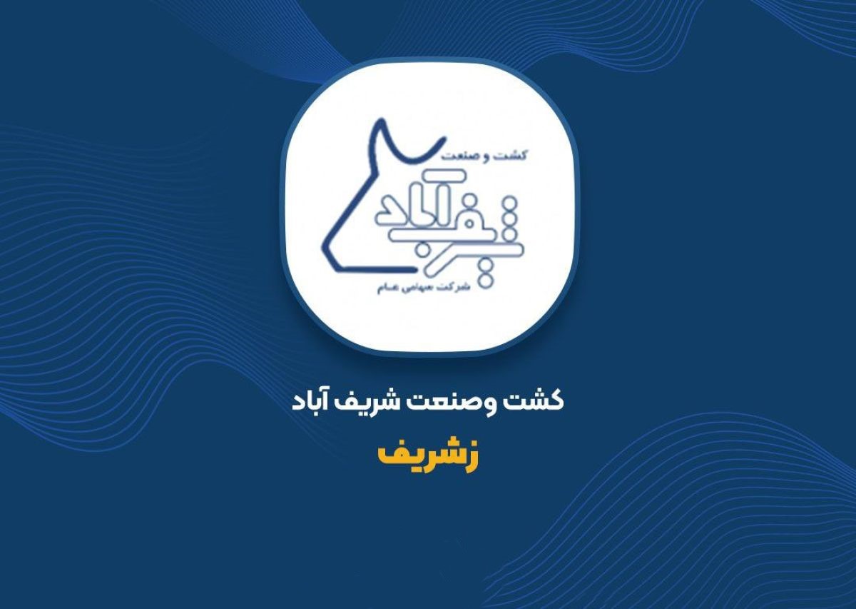 رشد ۵۰ درصدی درآمد و سود ۳۰۳ میلیاردتومانی؛ «زشریف»