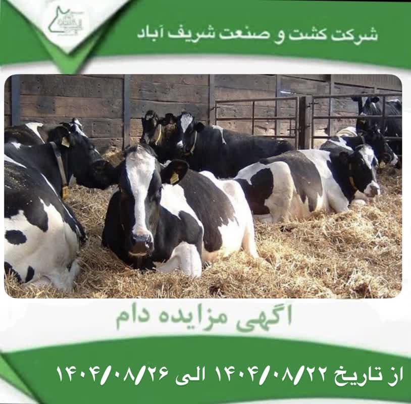 آگهی مزایده دام(نوبت سوم)