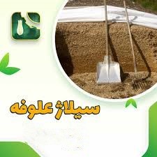 سیلاژخوراک، روشی نوین در تغذیه دام