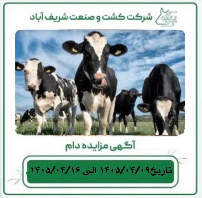 آگهی مزایده دام