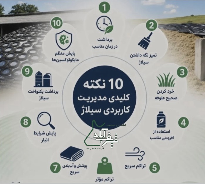 ۱۰ فرمان طلایی مدیریت سیلاژ «کشت و صنعت شریف‌آباد»